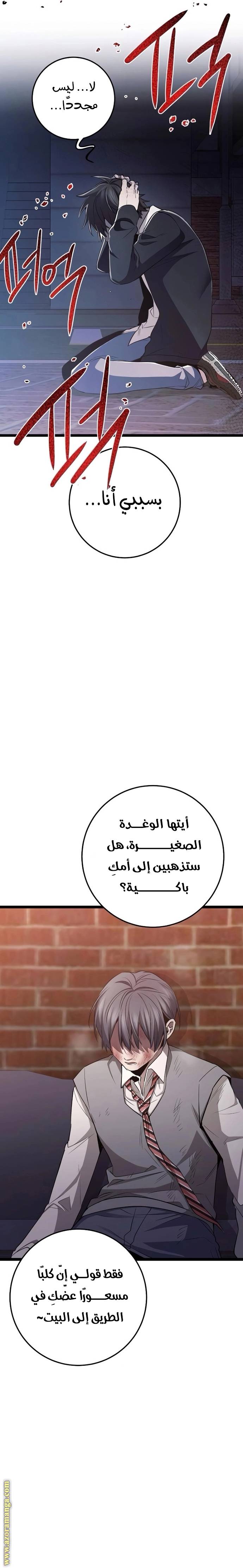 الصفحة 27