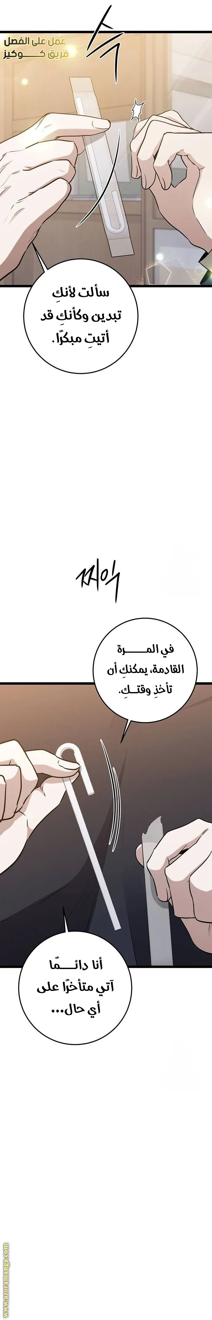 الصفحة 17