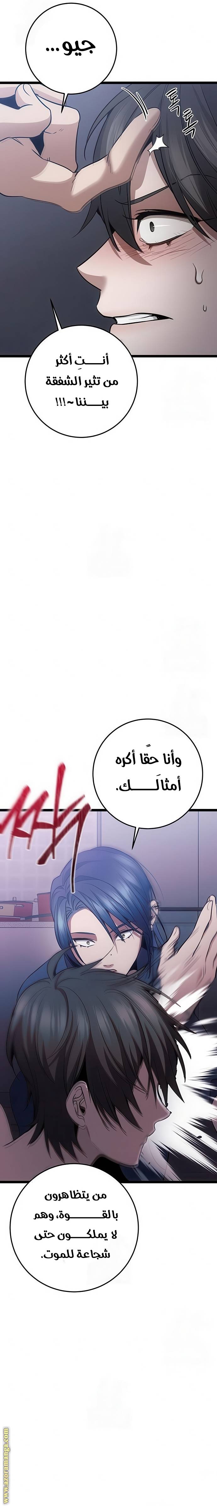 الصفحة 13