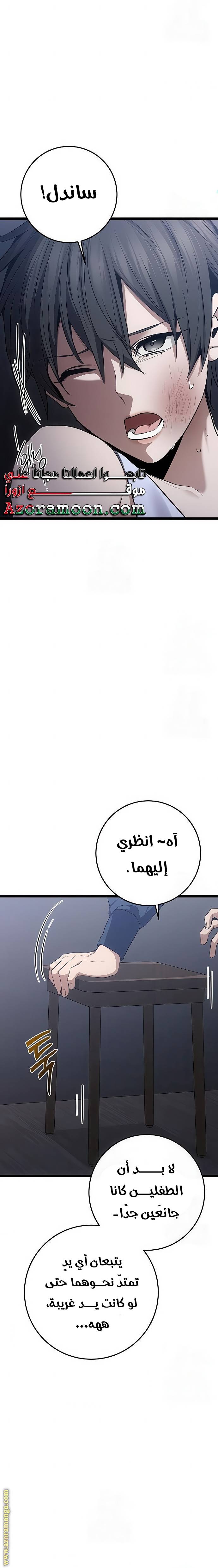 الصفحة 17
