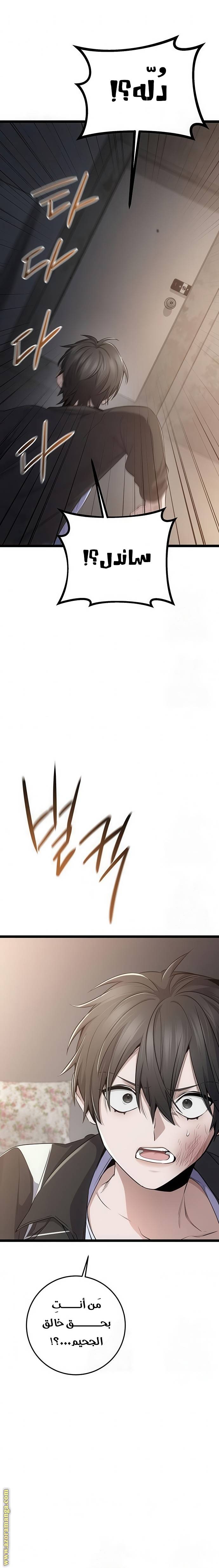 الصفحة 27