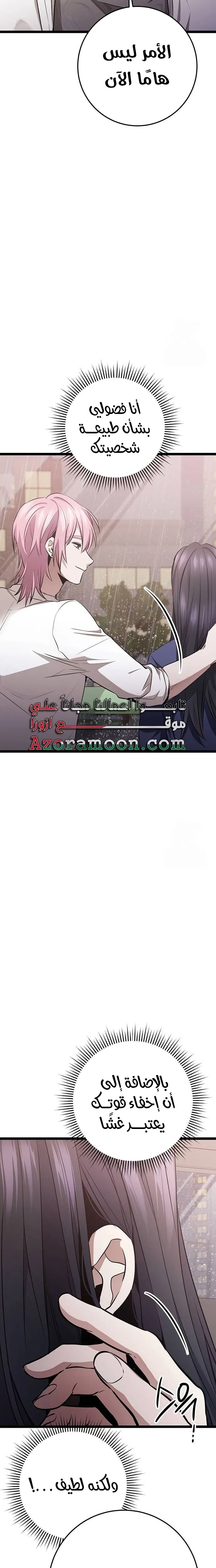 الصفحة 13