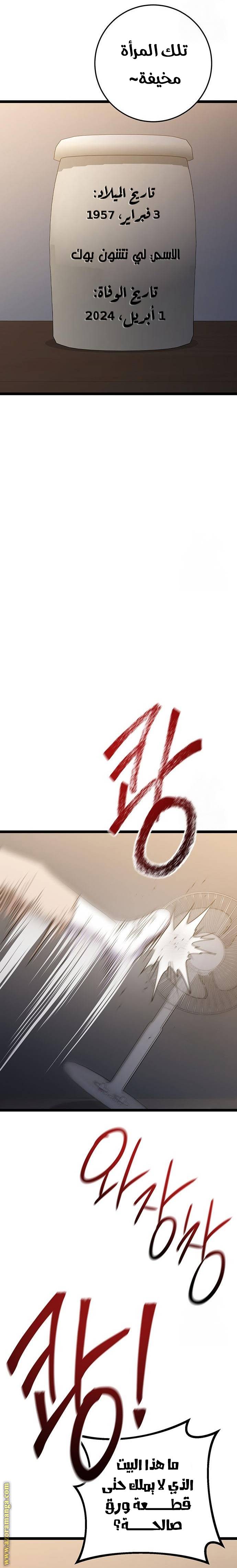 الصفحة 31