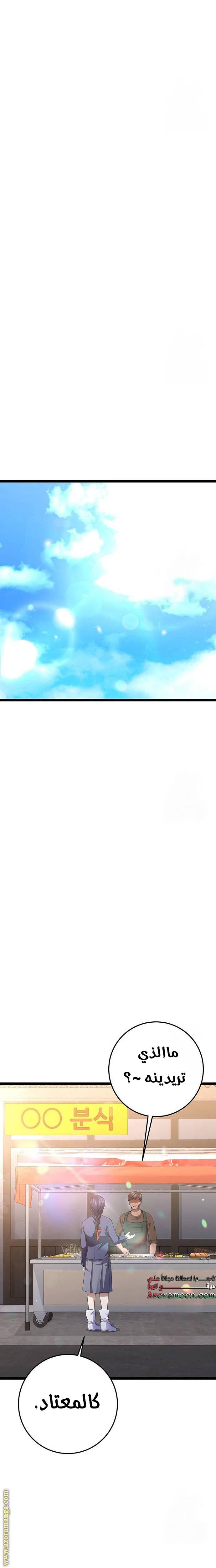 الصفحة 17