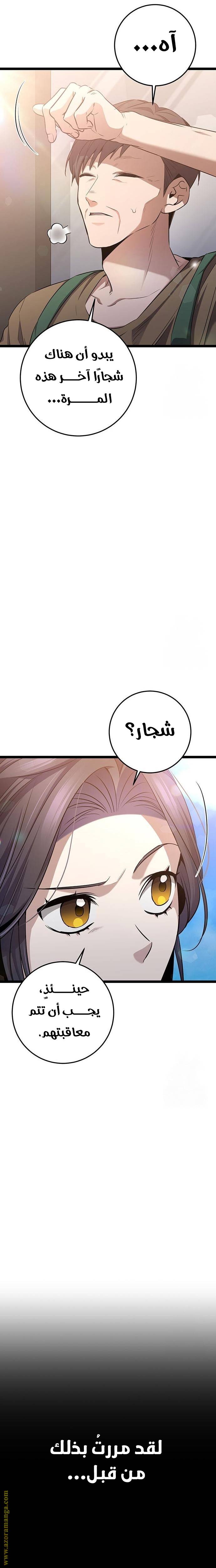 الصفحة 27