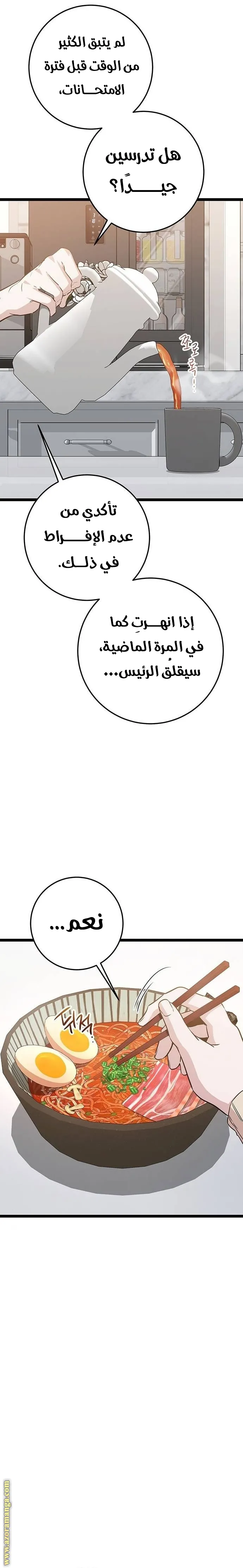 الصفحة 26