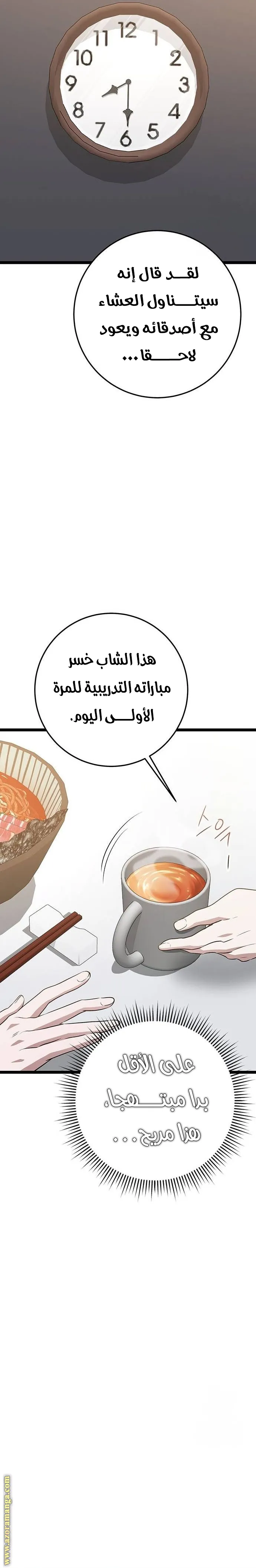 الصفحة 29