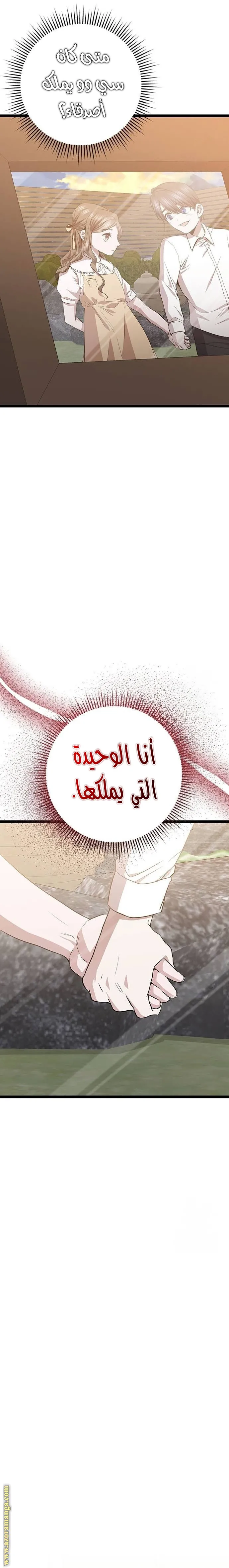 الصفحة 31