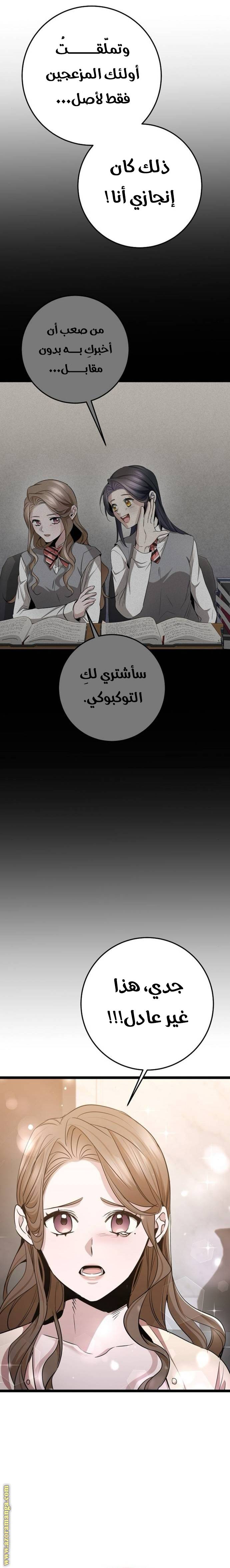 الصفحة 17