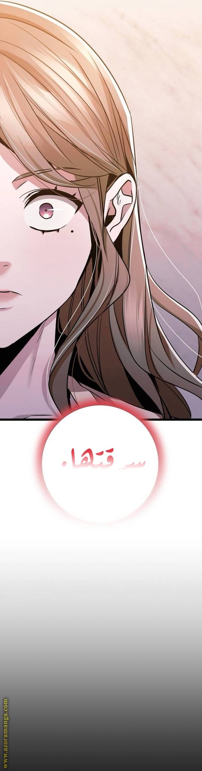 الصفحة 24