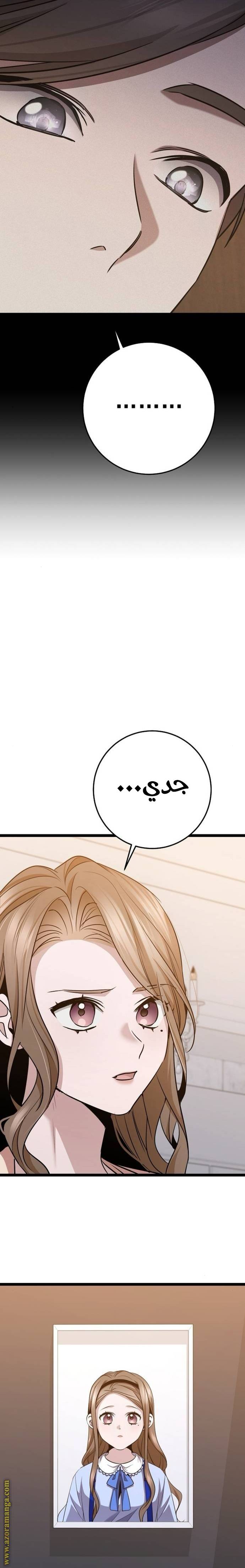 الصفحة 26