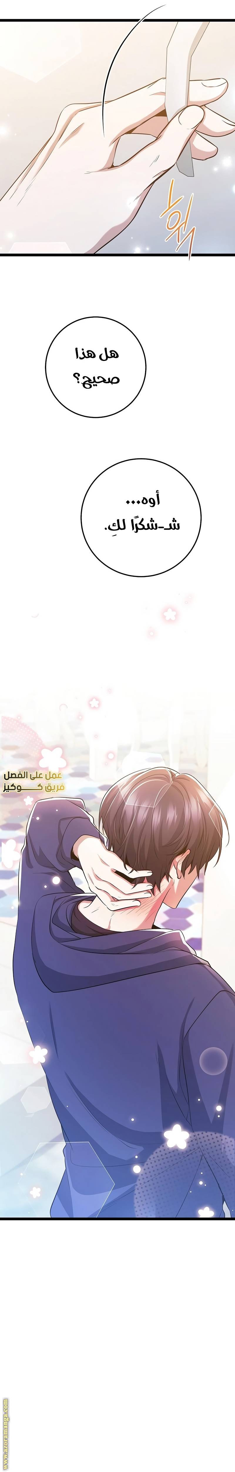 الصفحة 13