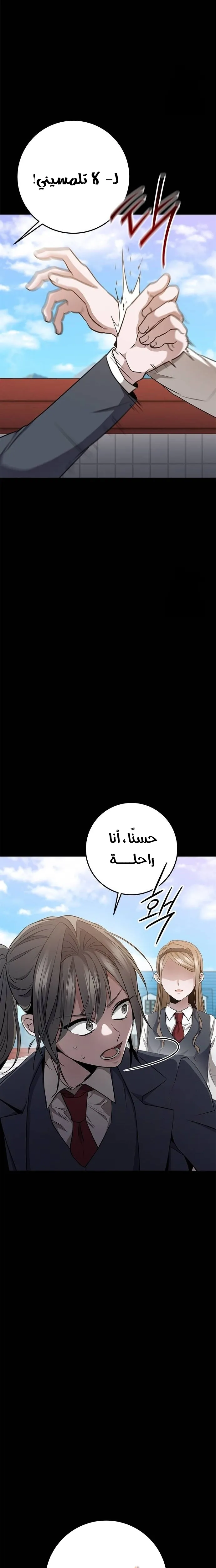 الصفحة 17