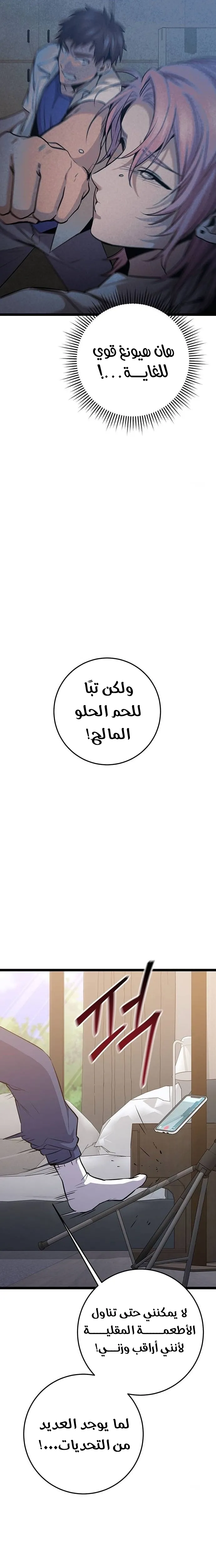 الصفحة 27