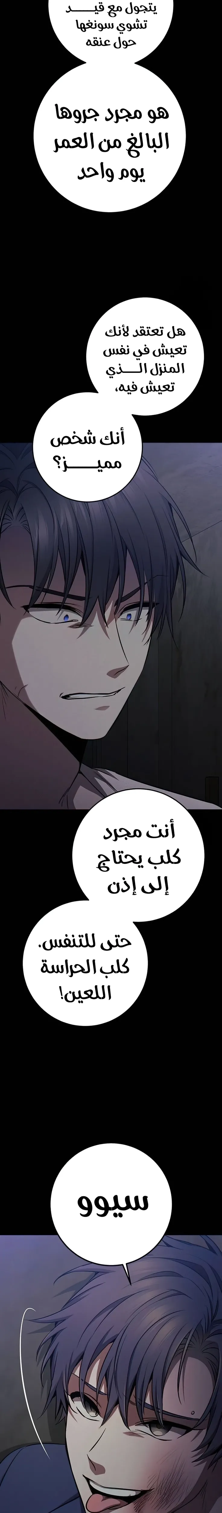 الصفحة 21