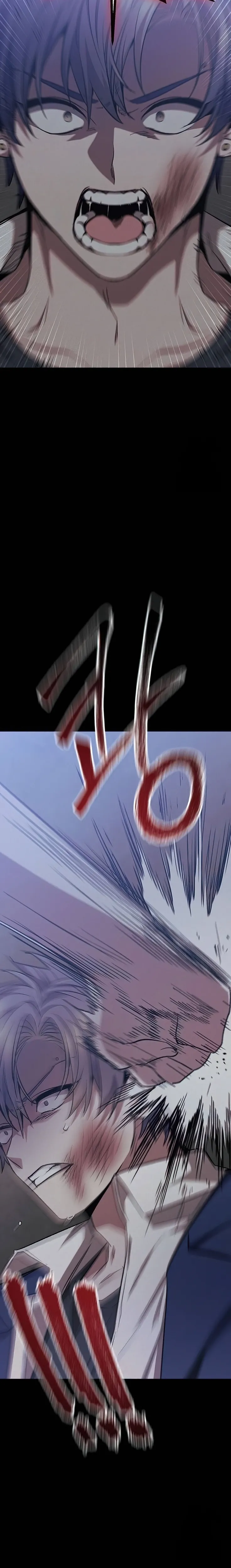 الصفحة 25