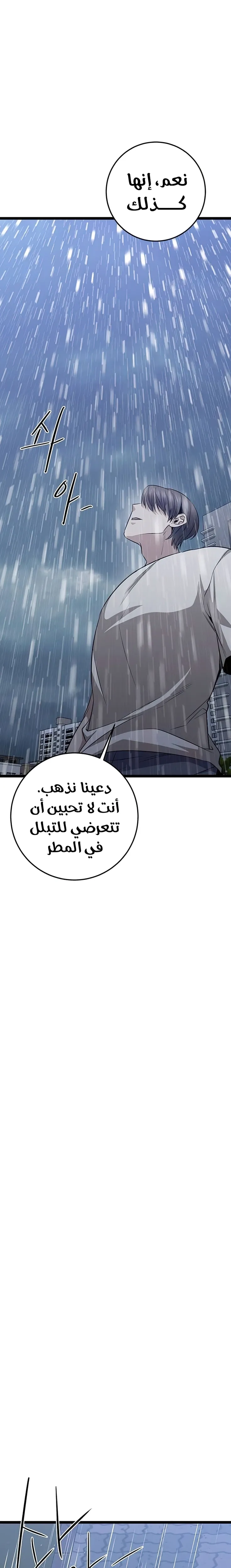 الصفحة 31