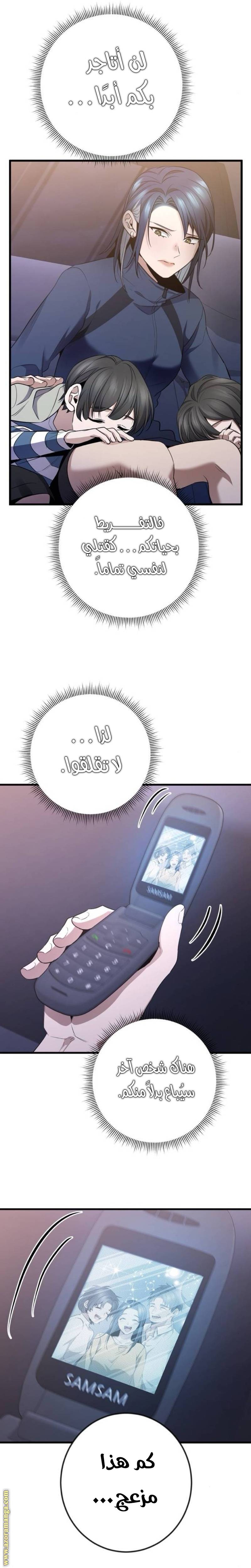 الصفحة 17