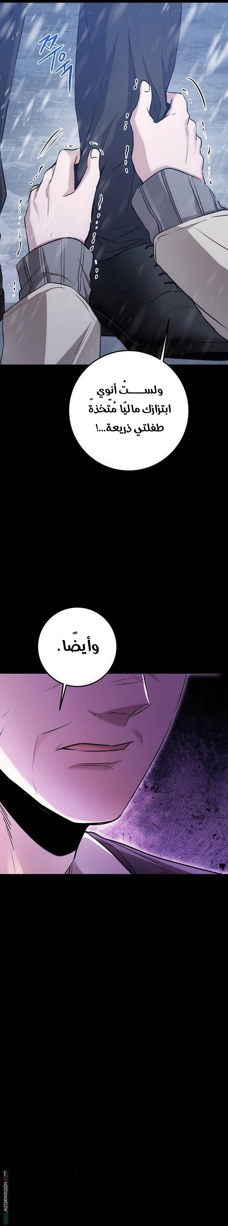 الصفحة 26