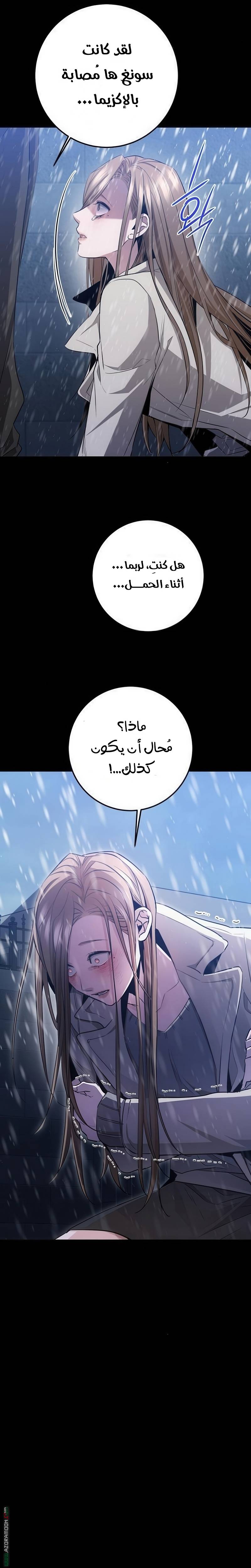 الصفحة 29