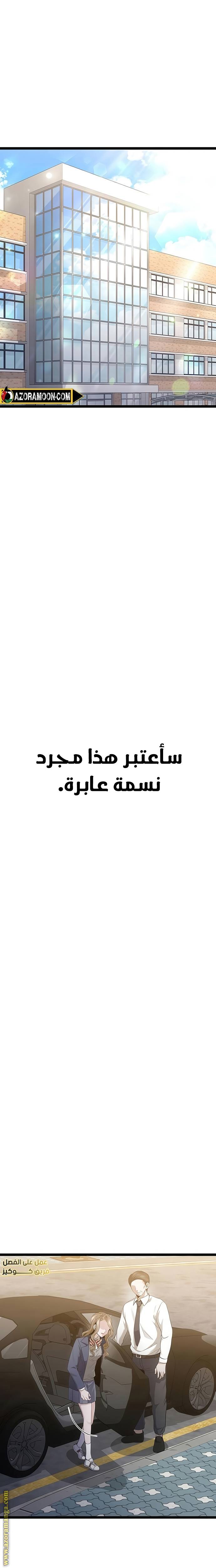 الصفحة 20