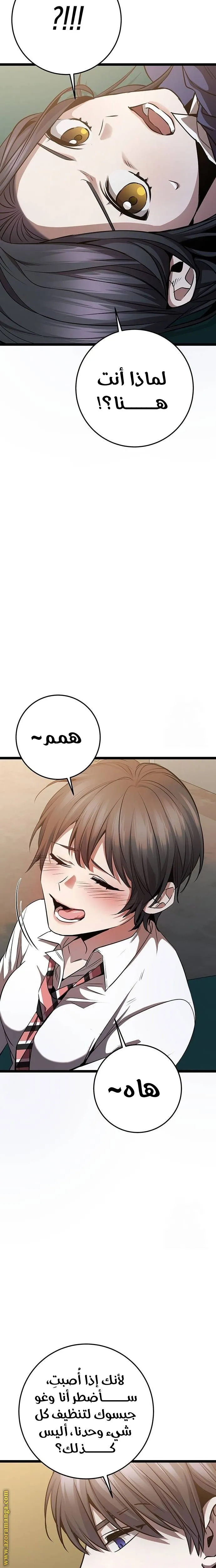 الصفحة 29