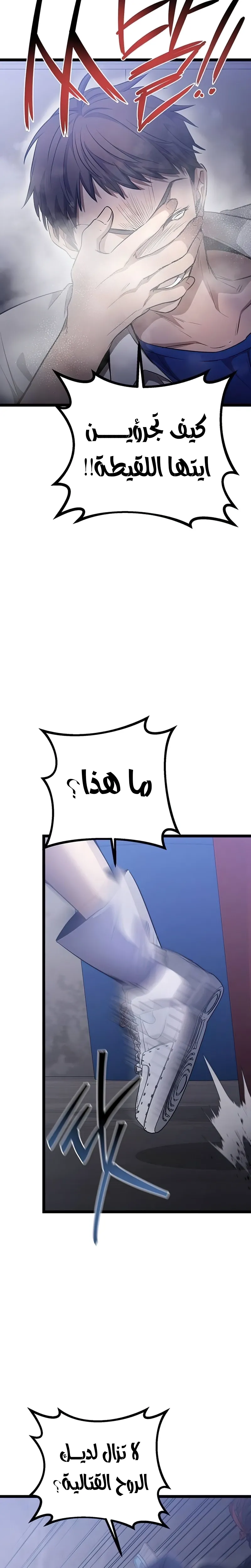 الصفحة 27