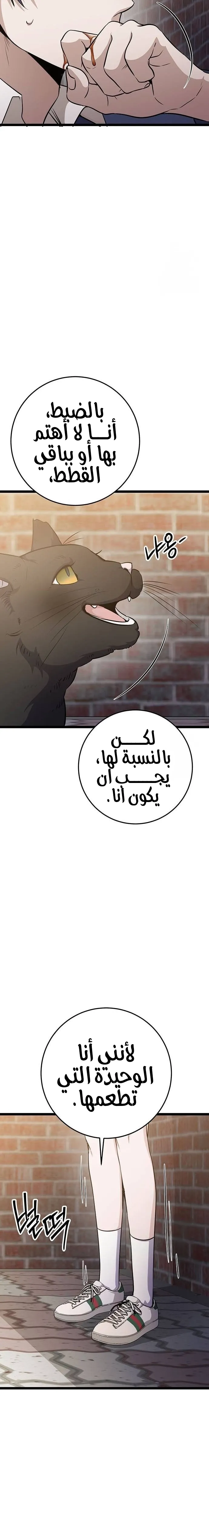الصفحة 38