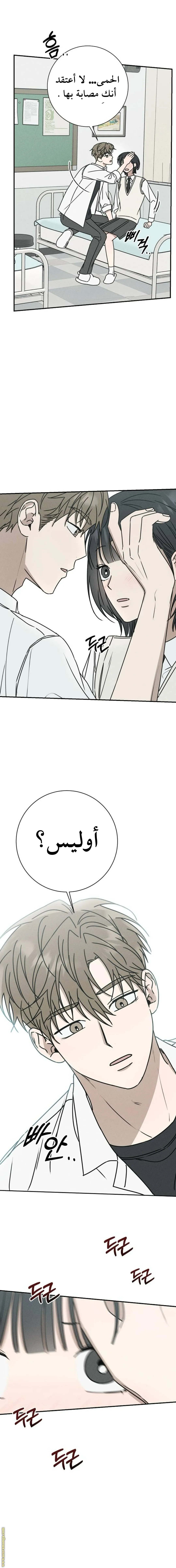 الصفحة 14