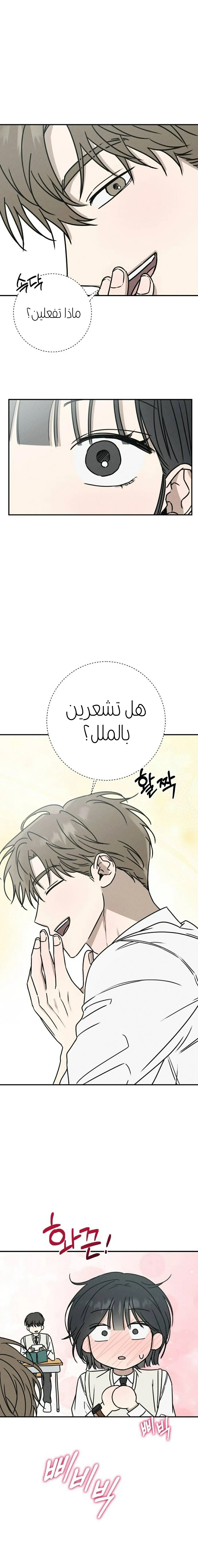 الصفحة 32