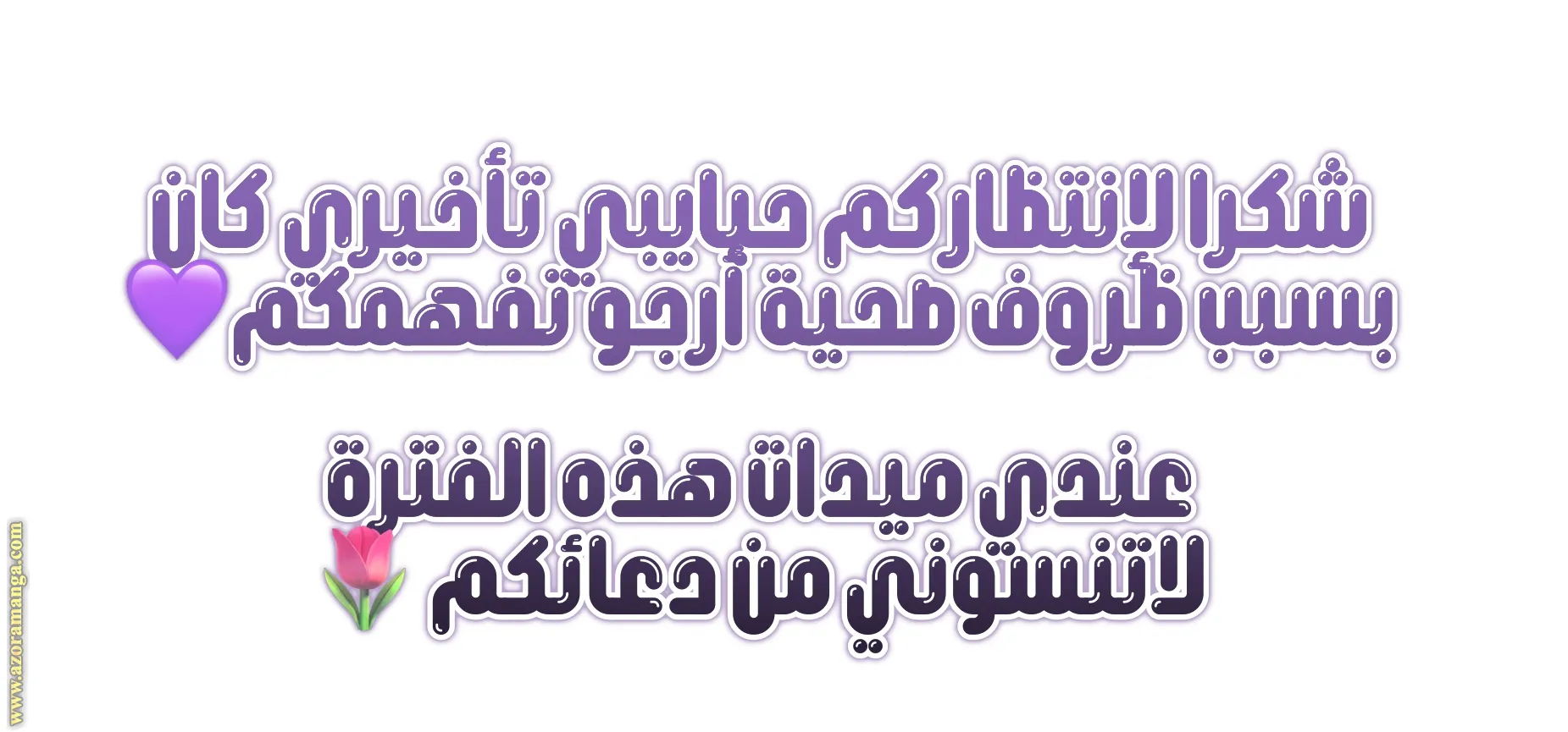 الصفحة 17