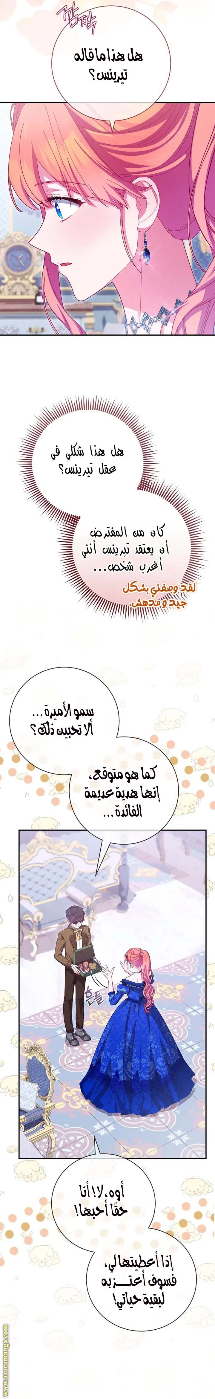الصفحة 13
