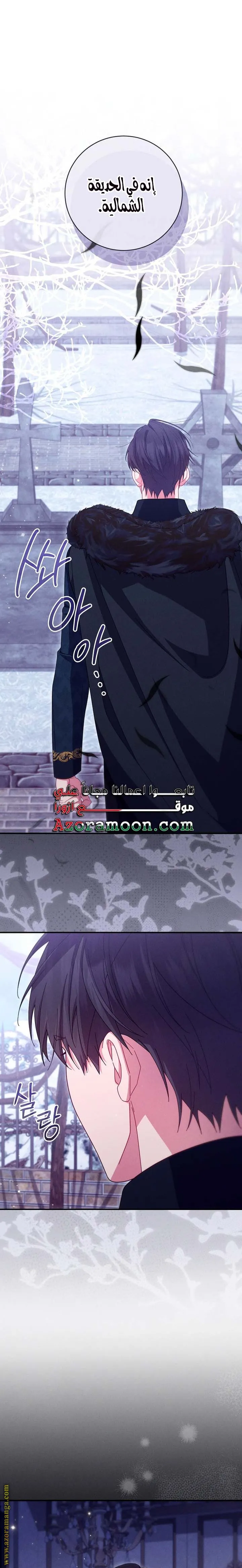 الصفحة 18