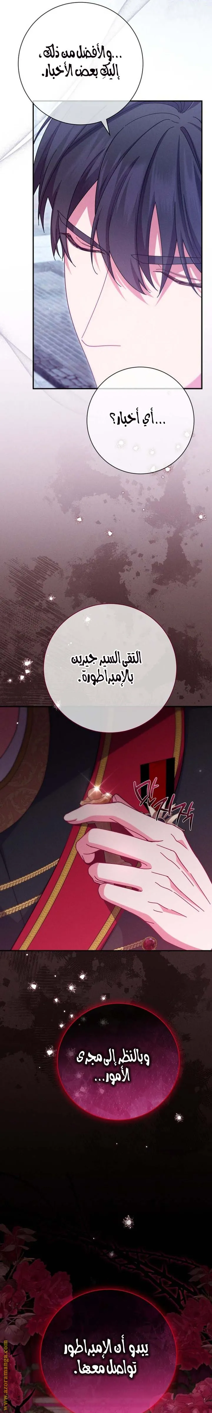 الصفحة 25