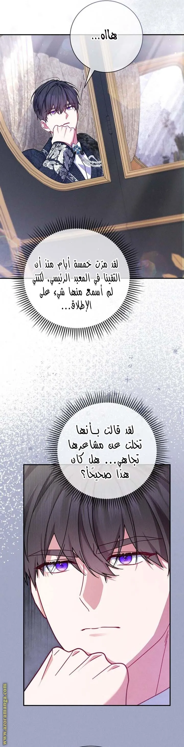 الصفحة 25