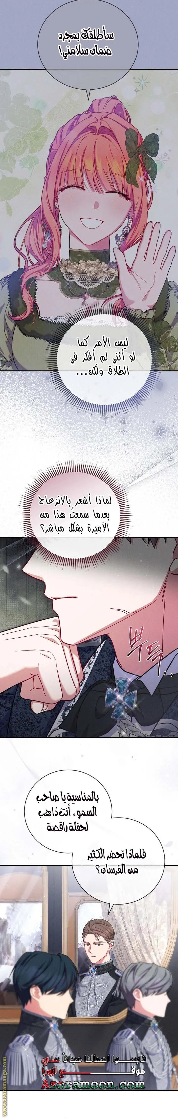 الصفحة 26