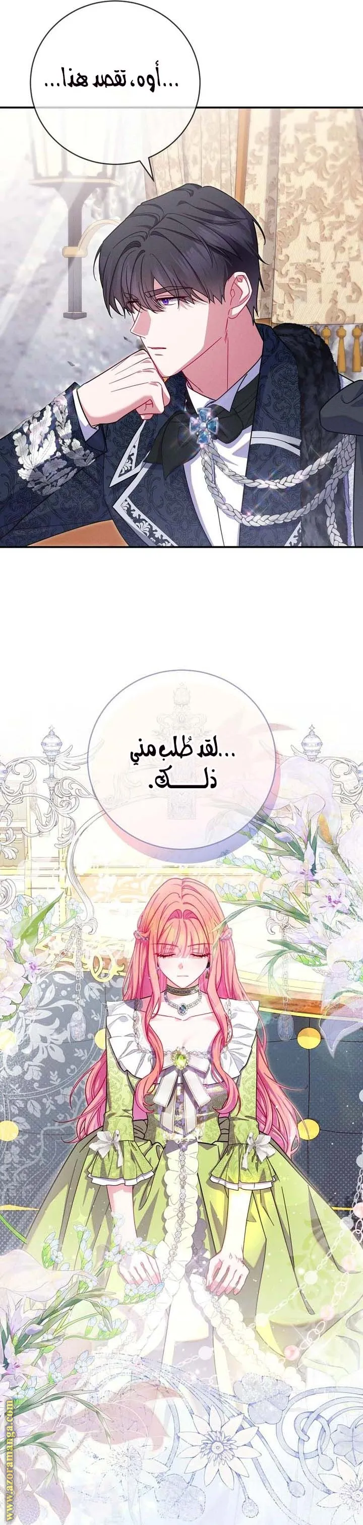 الصفحة 27