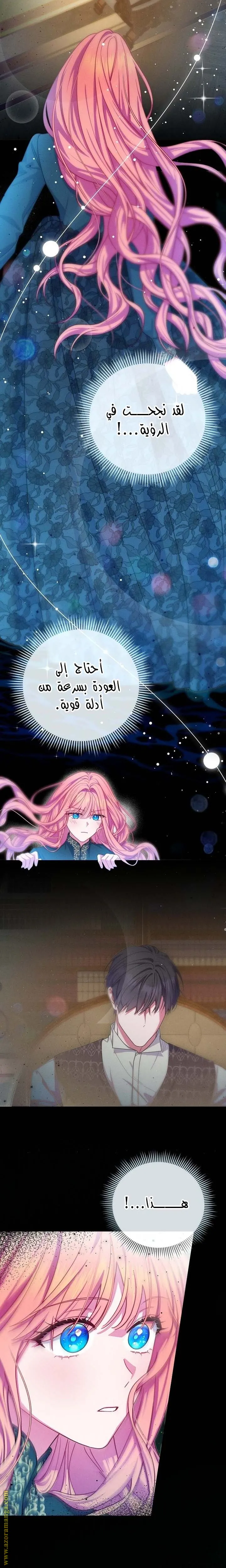 الصفحة 17
