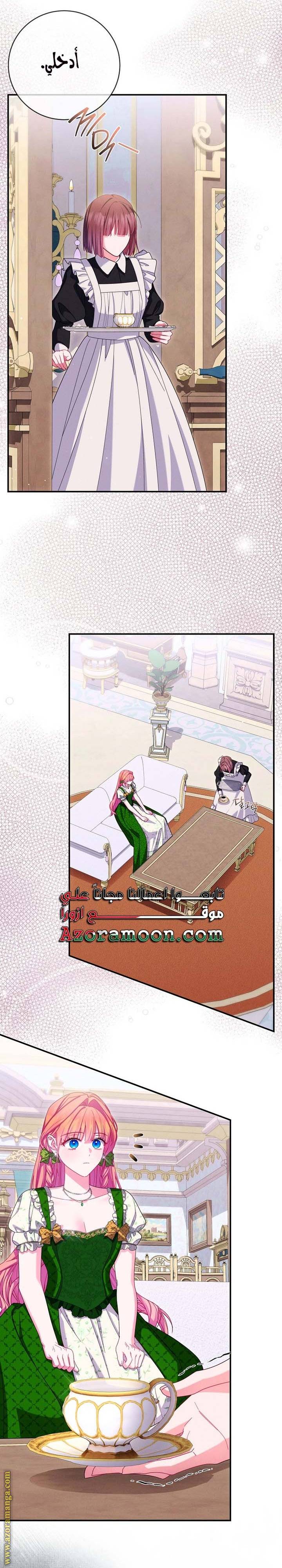 الصفحة 16