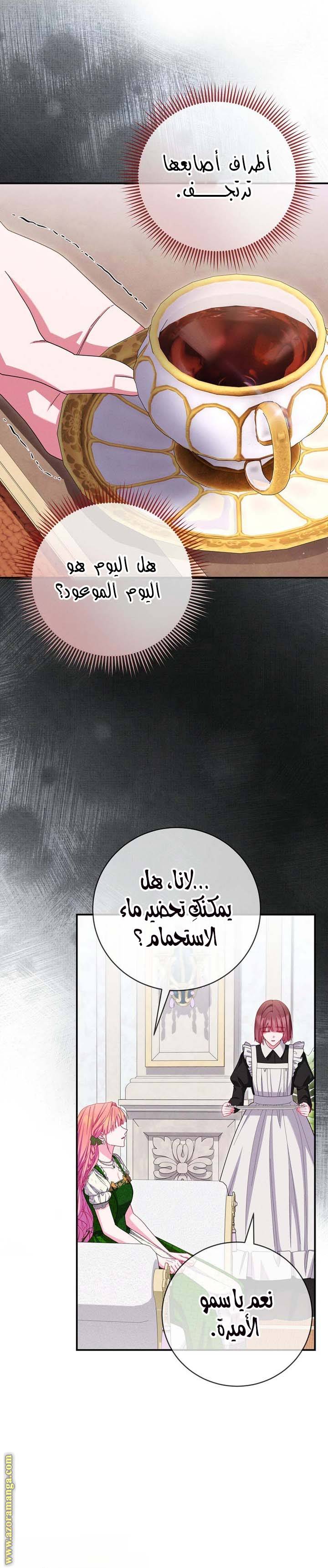 الصفحة 17