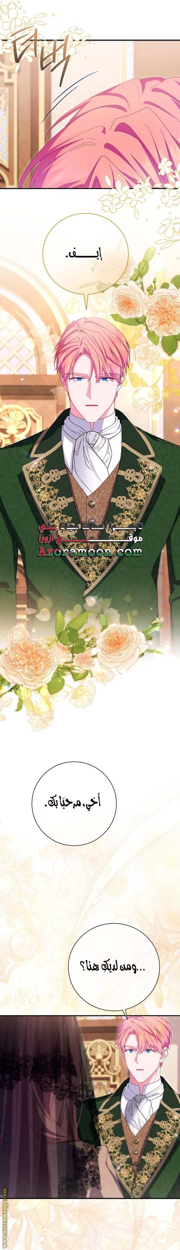 الصفحة 26