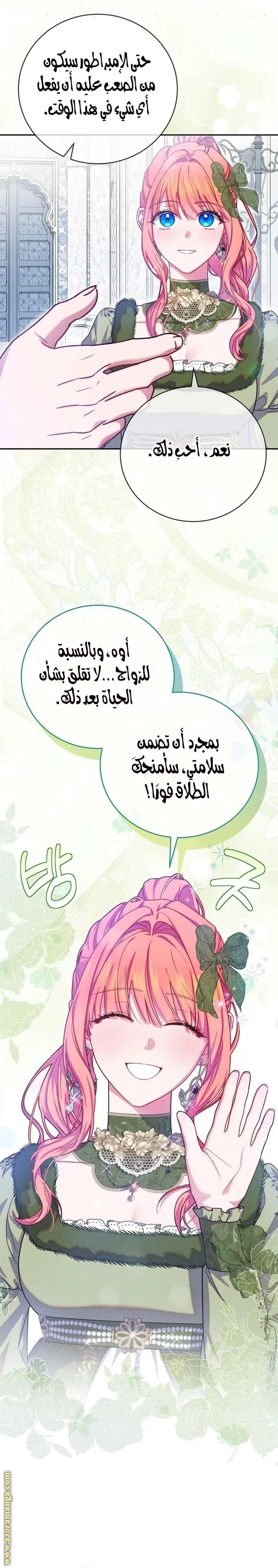 الصفحة 21