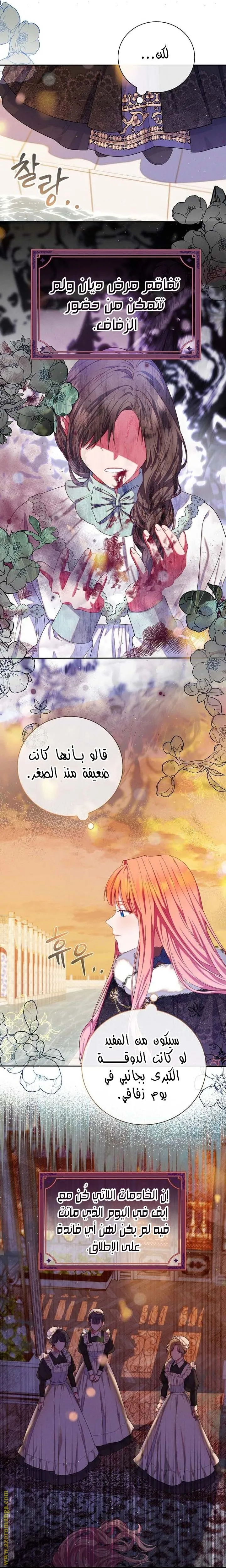 الصفحة 17