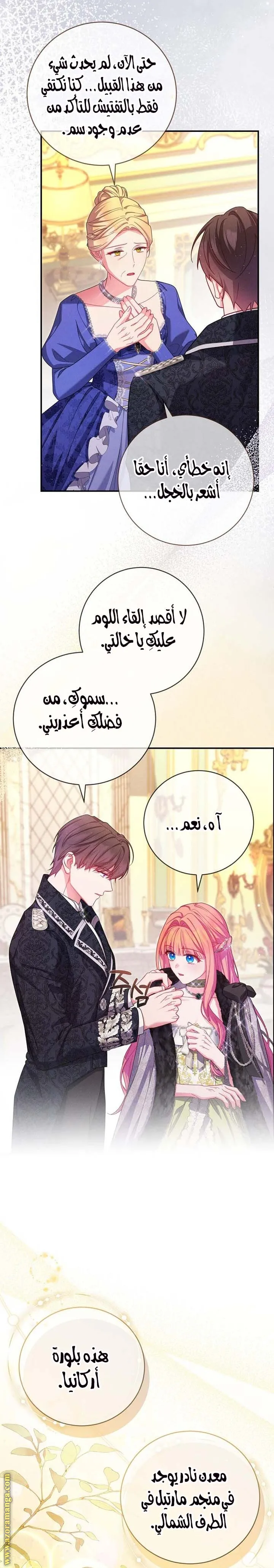الصفحة 17