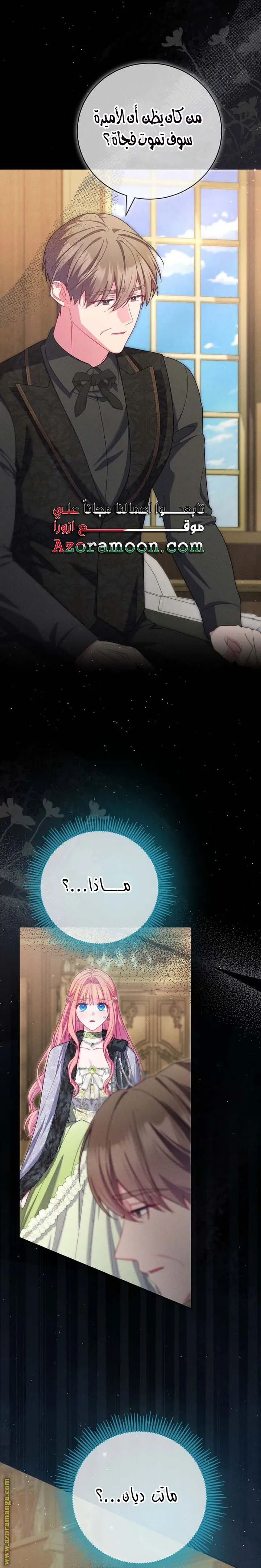 الصفحة 25