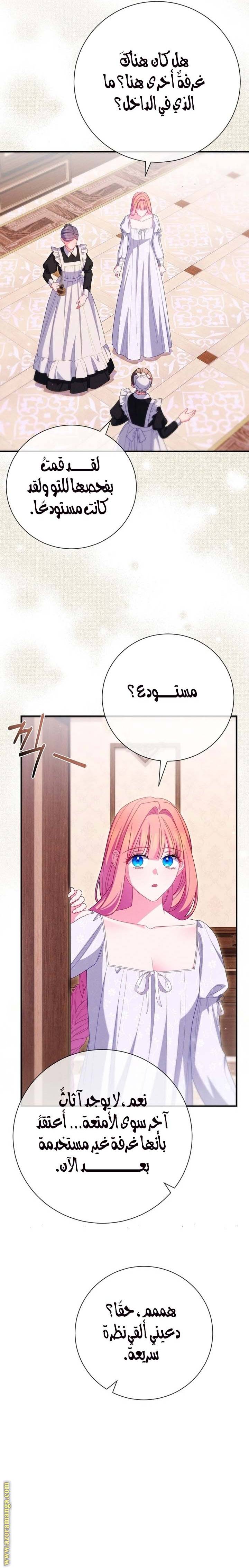 الصفحة 13