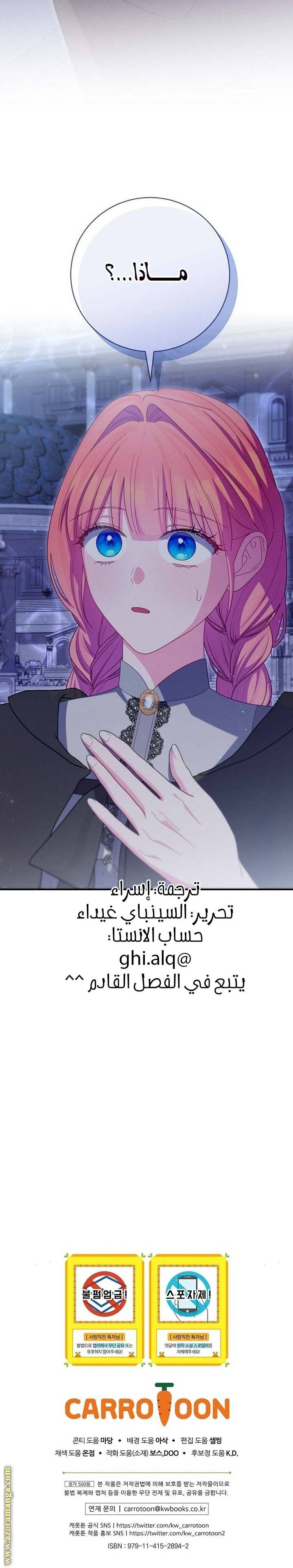 الصفحة 26
