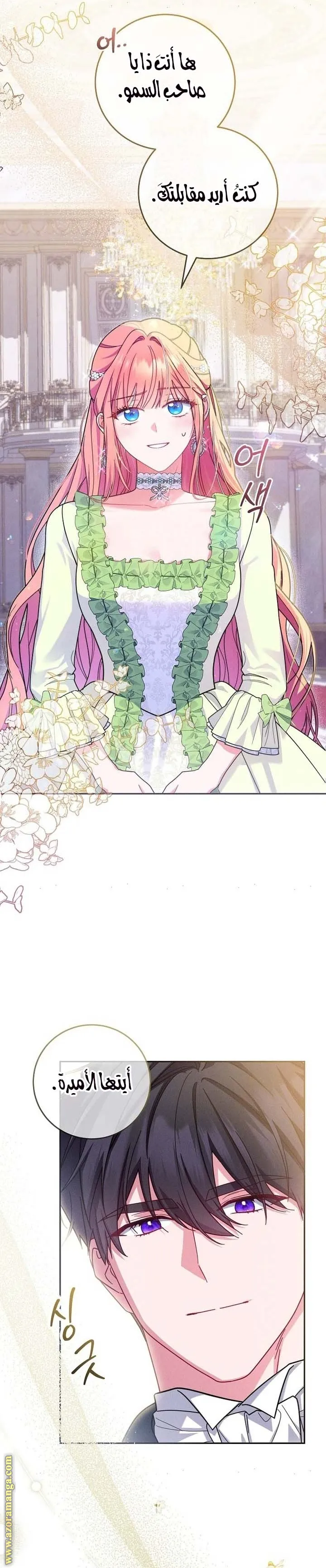 الصفحة 13