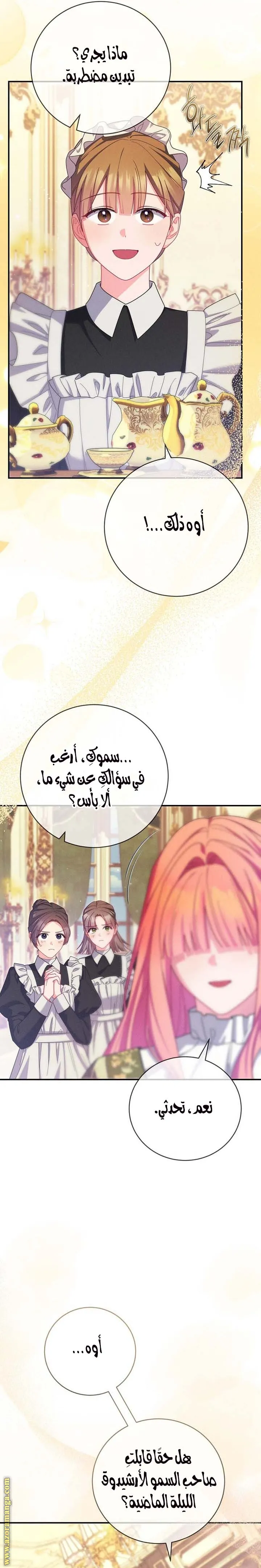 الصفحة 25