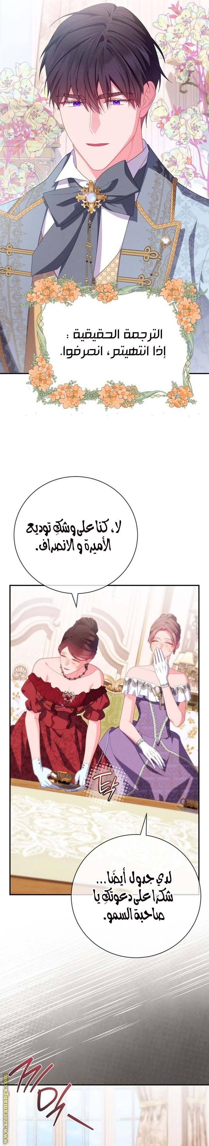 الصفحة 17